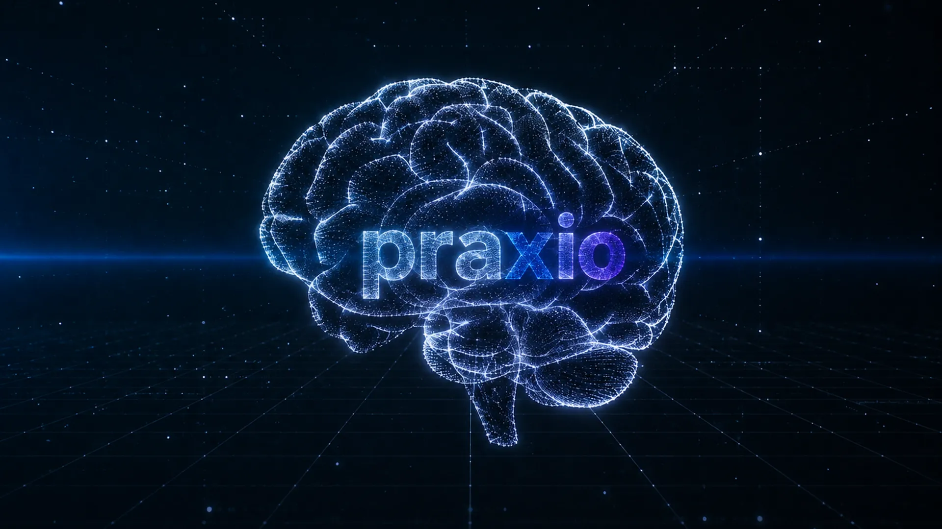 Prezentace Praxio — mozek s logem